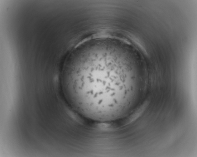 X0000115730265200911191418