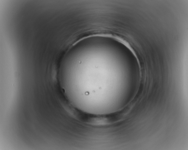 X0000115730266200911191418