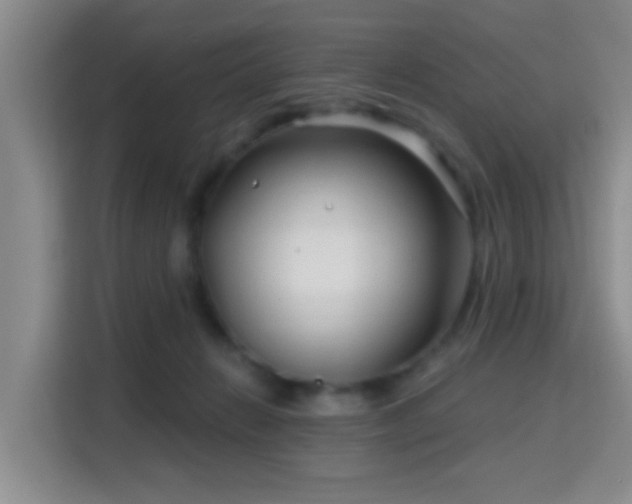 X0000115730270200911191418