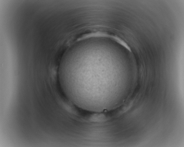 X0000115730271200911191418