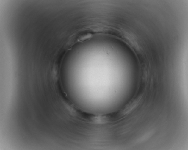 X0000115730273200911191418