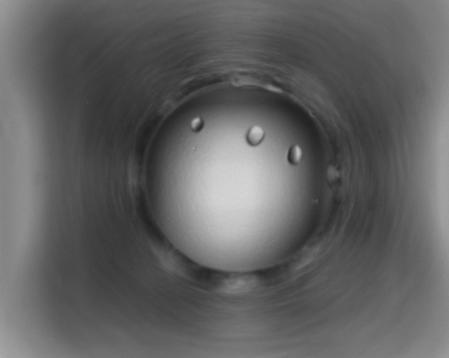 X0000115730274200911191418