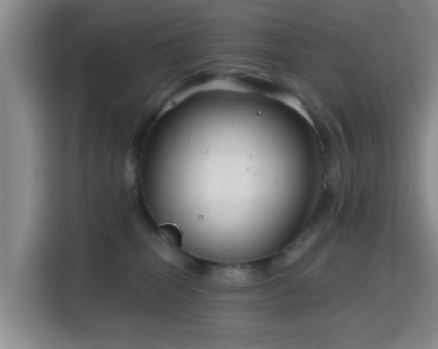 X0000115730282200911191418