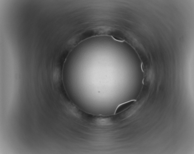 X0000115730283200911191418