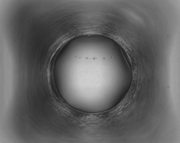 X0000115730290200911191418