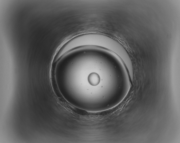 X0000115730292200911191418