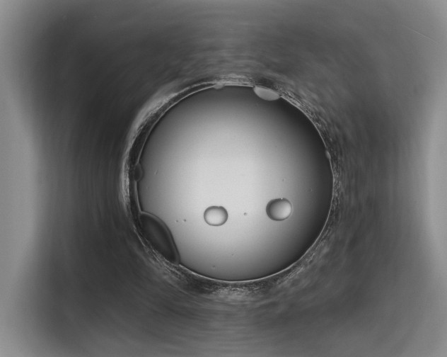 X0000115730294200911191417