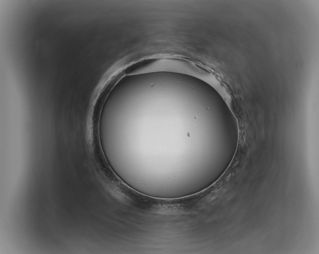 X0000115730296200911191417