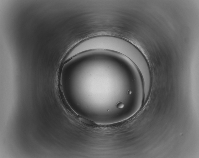 X0000115730297200911191417