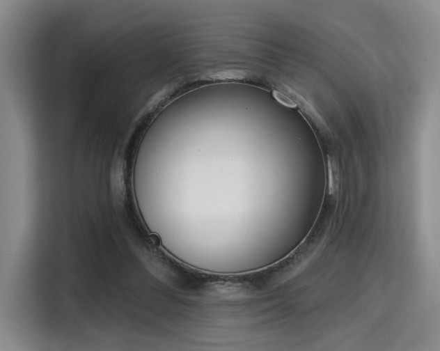 X0000115730300200911191417