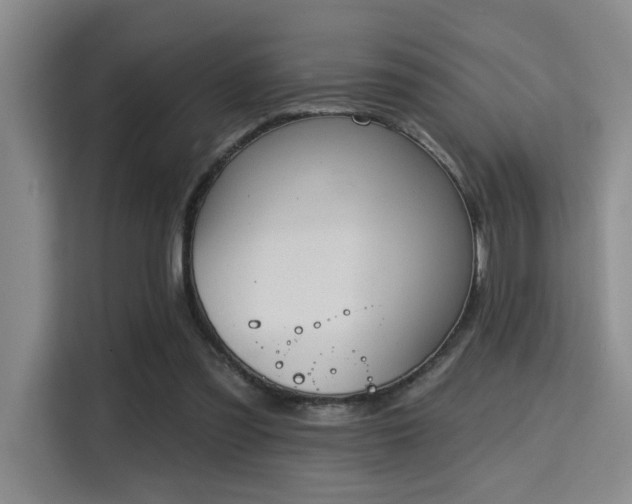 X0000115730301200911191417