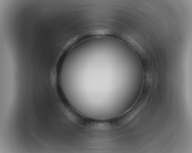 X0000115730304200911191417