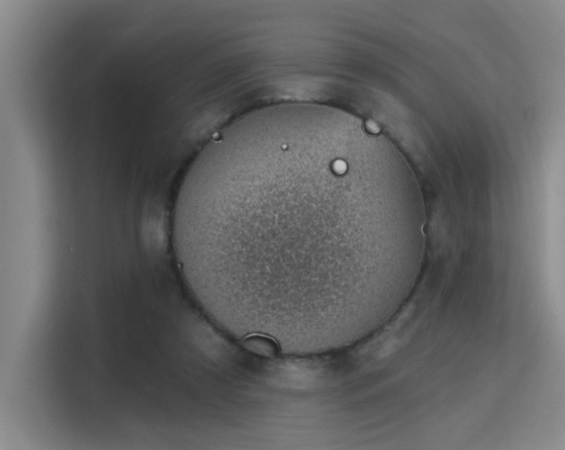 X0000115730305200911191417