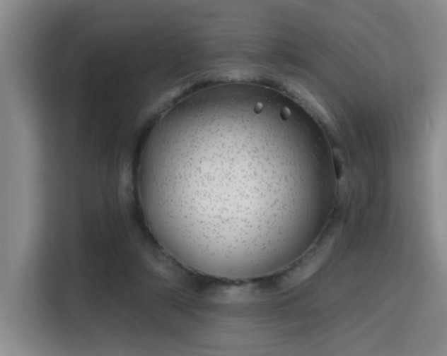 X0000115730306200911191417