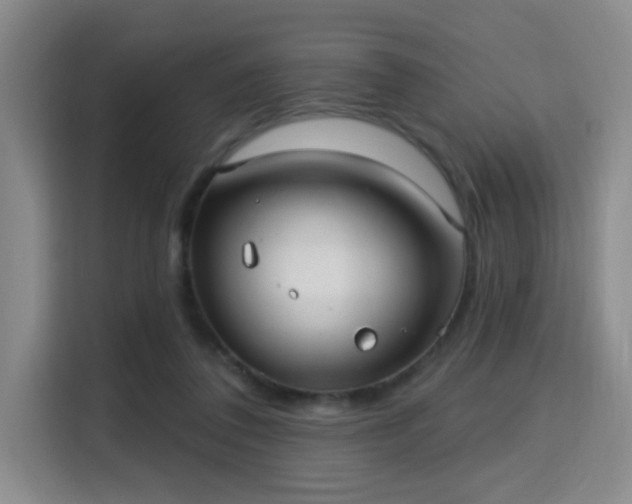 X0000115730308200911191417