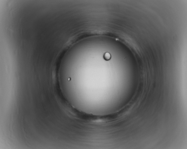 X0000115730312200911191417