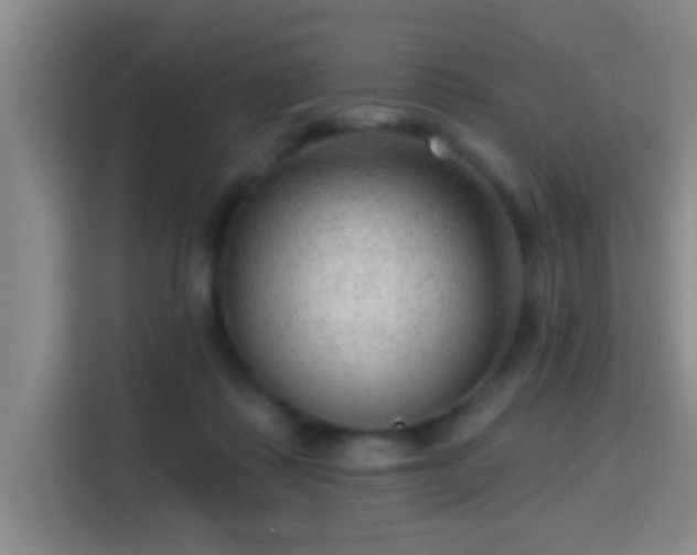 X0000115730315200911191417