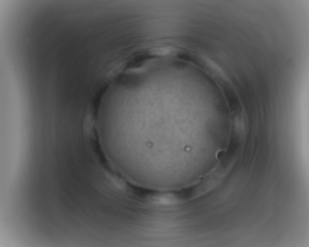 X0000115730322200911191417