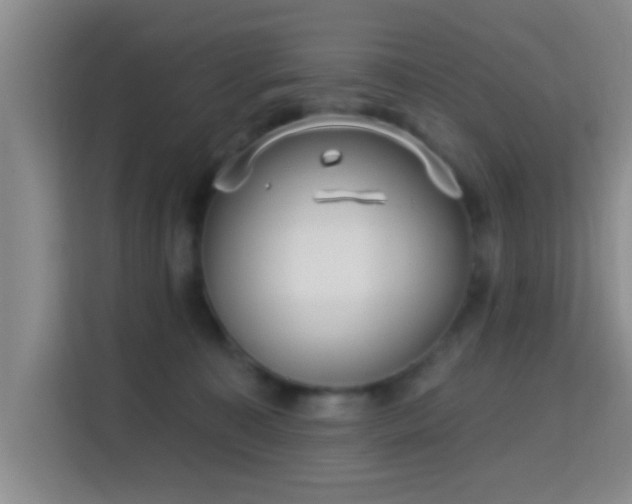 X0000115730323200911191417