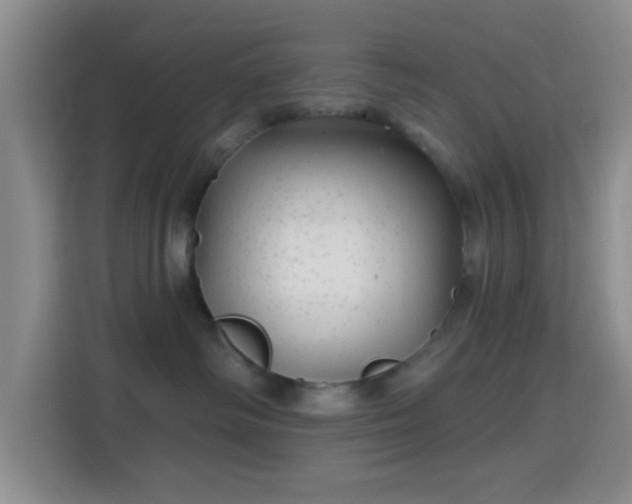 X0000115730334200911191417