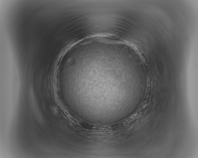 X0000115730337200911191416