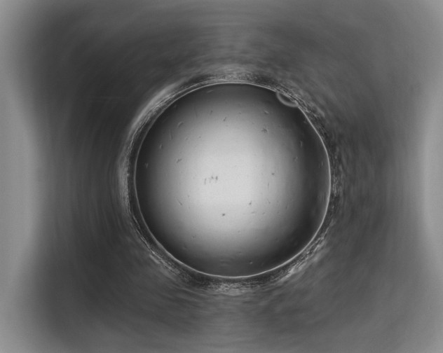 X0000115730341200911191416