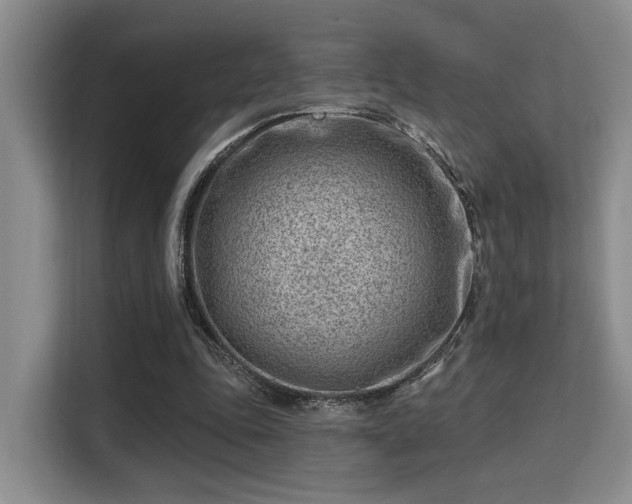 X0000115730343200911191416