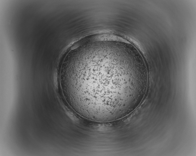 X0000115730345200911191416