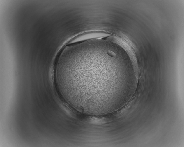 X0000115730346200911191416