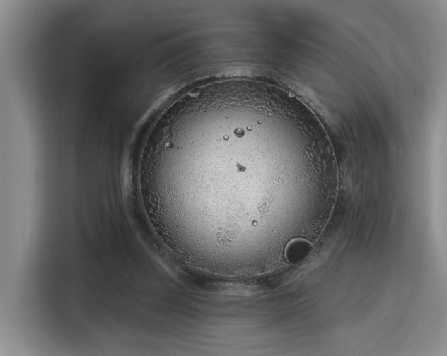 X0000115730347200911191416