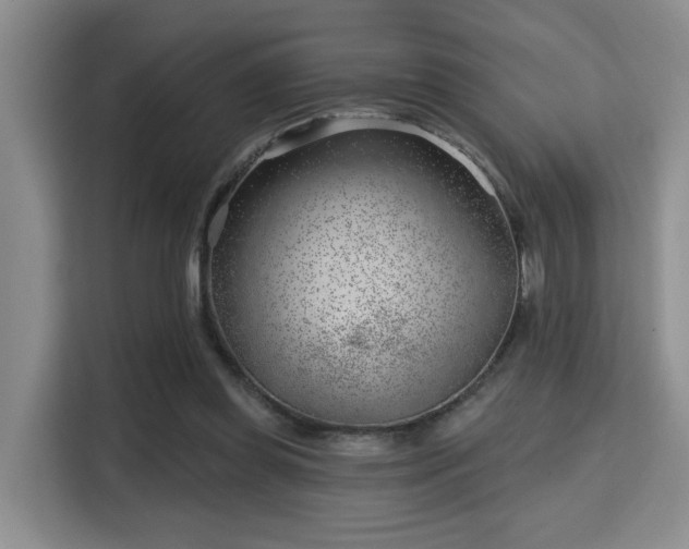 X0000115730349200911191416