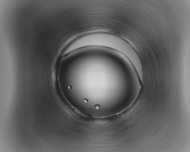 X0000115730350200911191416