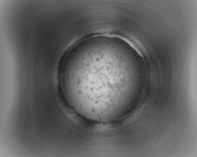 X0000115730354200911191417