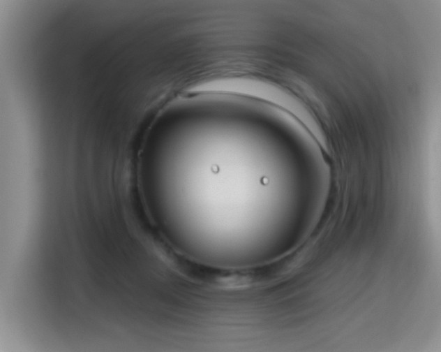 X0000115730362200911191417