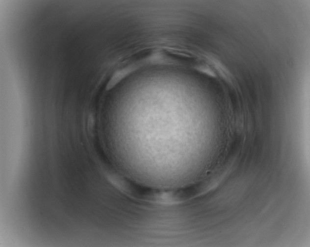 X0000115730365200911191417