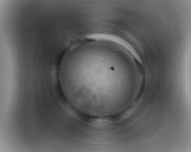 X0000115730366200911191417