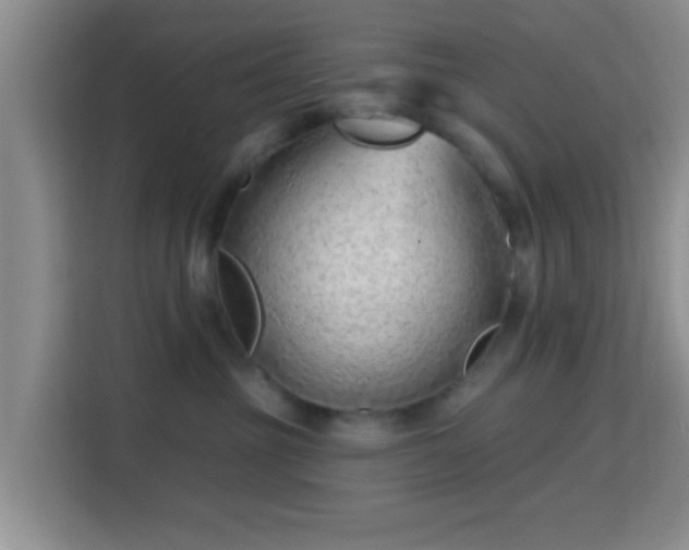 X0000115730381200911191417