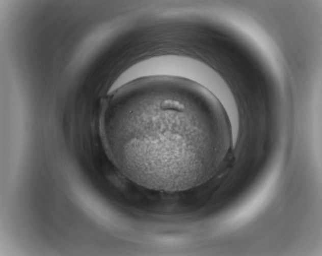 X0000115730382200911191417