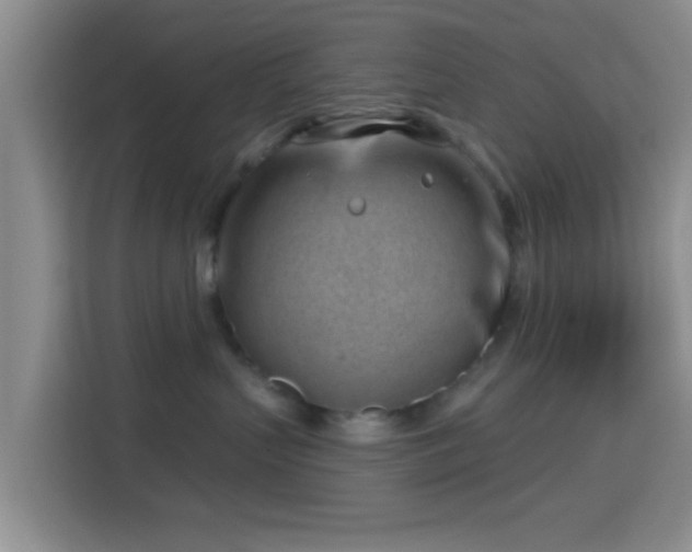 X0000115730383200911191417