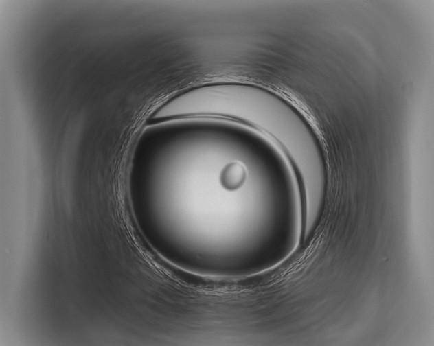 X0000115730385200911191416