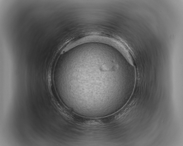 X0000115730386200911191416