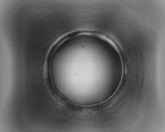 X0000115730388200911191416