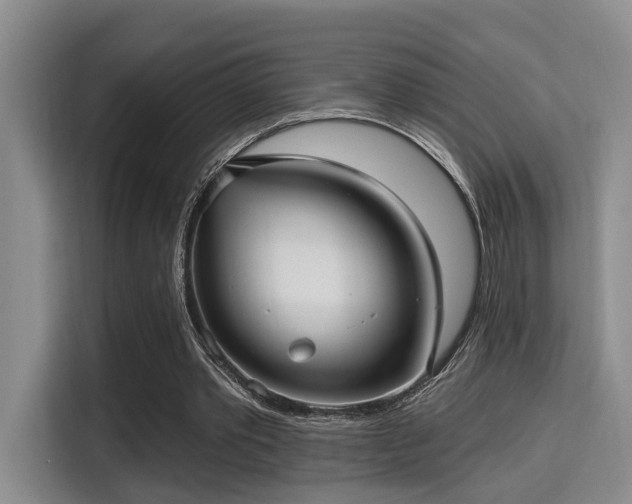 X0000115730389200911191416