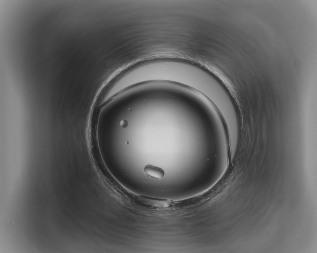 X0000115730391200911191416