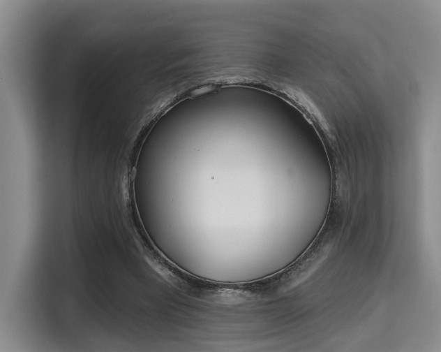 X0000115730393200911191416