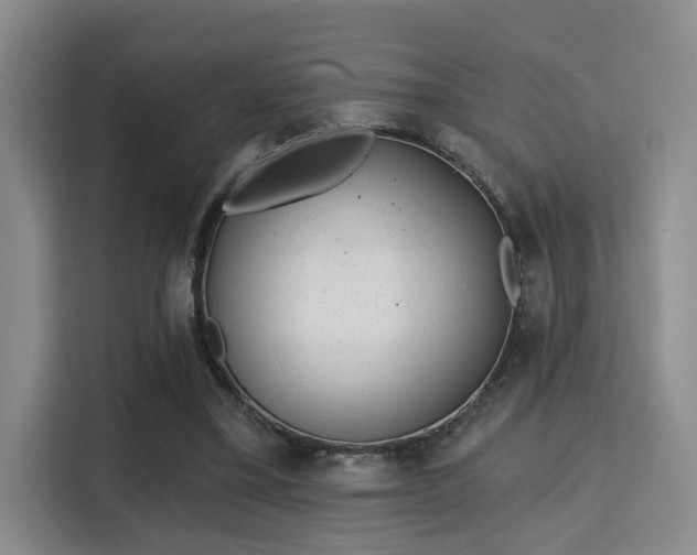 X0000115730395200911191416