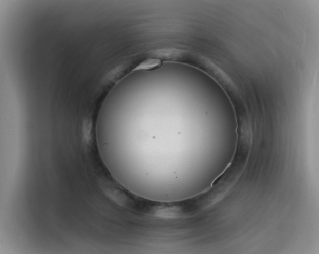 X0000115730403200911191416