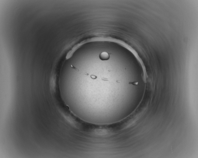 X0000115730404200911191416