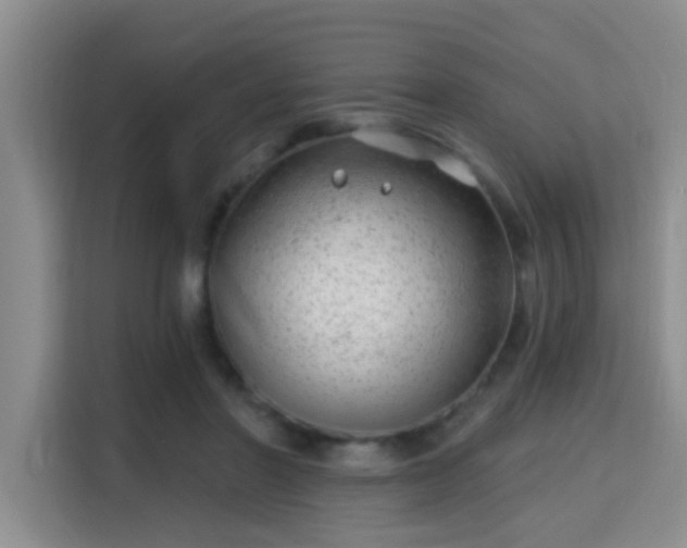 X0000115730406200911191416