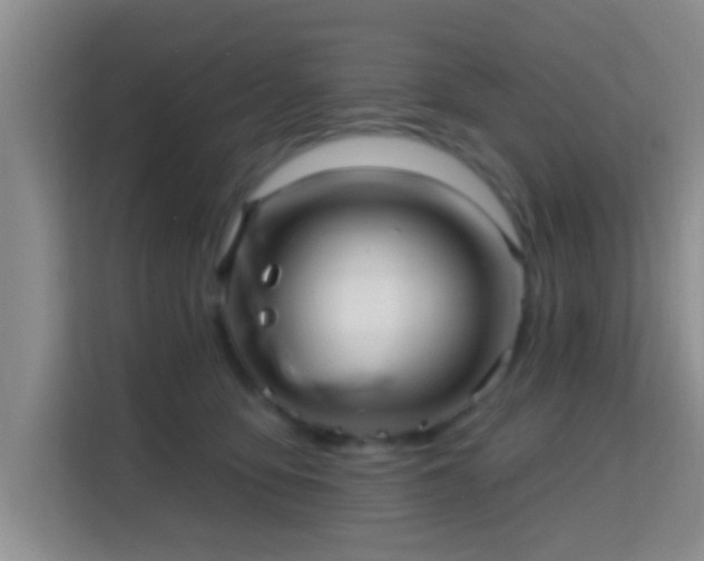 X0000115730419200911191416